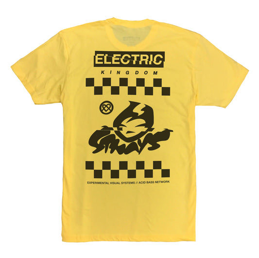 RAIDENBOX YELLOW T-SHIRT